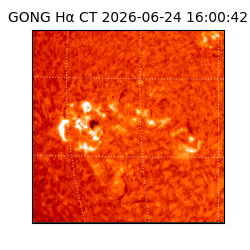 gong - 2026-06-24T16:00:42