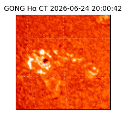 gong - 2026-06-24T20:00:42