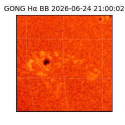 gong - 2026-06-24T21:00:02