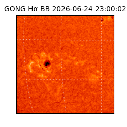 gong - 2026-06-24T23:00:02