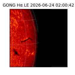 gong - 2026-06-24T02:00:42