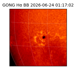 gong - 2026-06-24T01:17:02