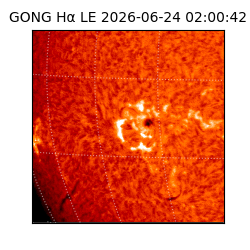gong - 2026-06-24T02:00:42