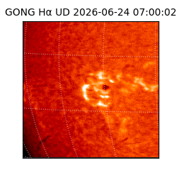 gong - 2026-06-24T07:00:02