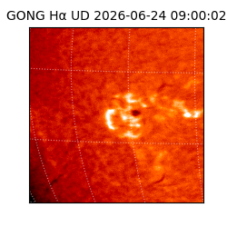 gong - 2026-06-24T09:00:02