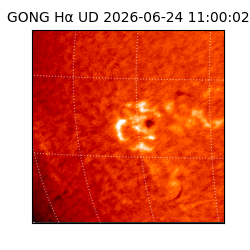 gong - 2026-06-24T11:00:02