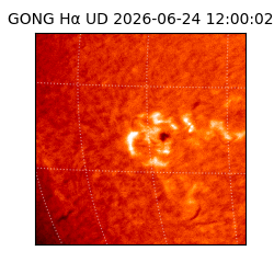 gong - 2026-06-24T12:00:02
