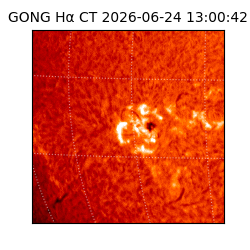 gong - 2026-06-24T13:00:42
