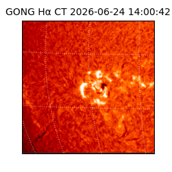 gong - 2026-06-24T14:00:42