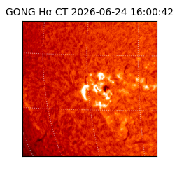 gong - 2026-06-24T16:00:42