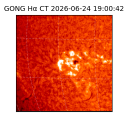 gong - 2026-06-24T19:00:42