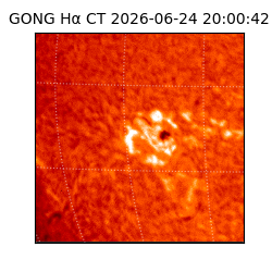 gong - 2026-06-24T20:00:42