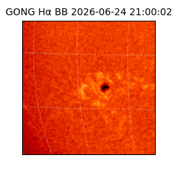 gong - 2026-06-24T21:00:02