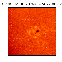 gong - 2026-06-24T22:00:02