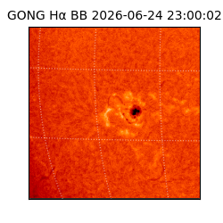 gong - 2026-06-24T23:00:02
