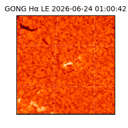 gong - 2026-06-24T01:00:42