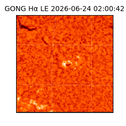 gong - 2026-06-24T02:00:42