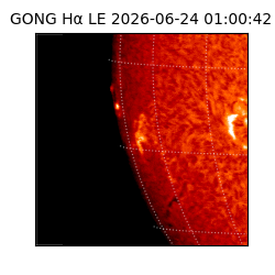 gong - 2026-06-24T01:00:42