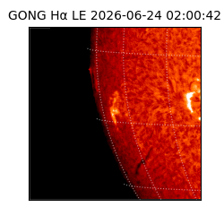 gong - 2026-06-24T02:00:42