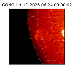 gong - 2026-06-24T09:00:02