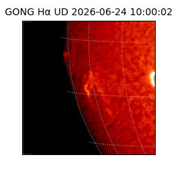 gong - 2026-06-24T10:00:02