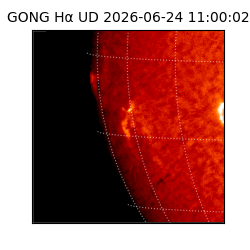 gong - 2026-06-24T11:00:02