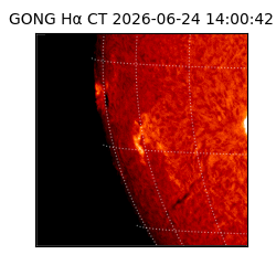 gong - 2026-06-24T14:00:42