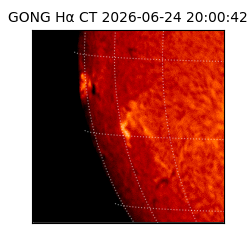 gong - 2026-06-24T20:00:42