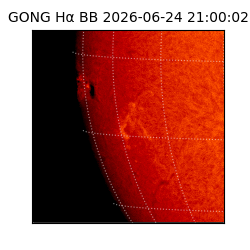 gong - 2026-06-24T21:00:02