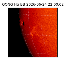 gong - 2026-06-24T22:00:02