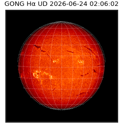 gong - 2026-06-24T02:06:02