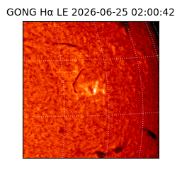gong - 2026-06-25T02:00:42