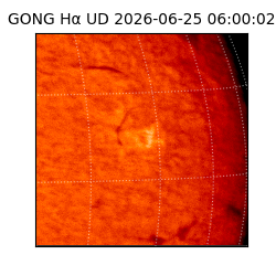 gong - 2026-06-25T06:00:02