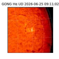 gong - 2026-06-25T09:11:02