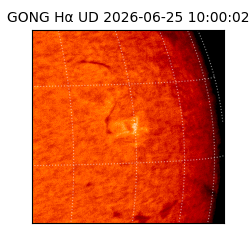 gong - 2026-06-25T10:00:02