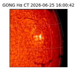 gong - 2026-06-25T16:00:42