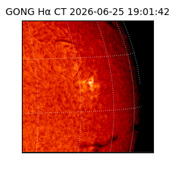 gong - 2026-06-25T19:01:42