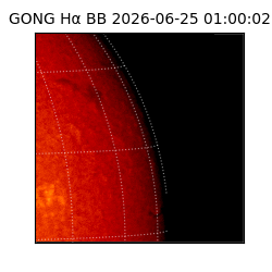 gong - 2026-06-25T01:00:02