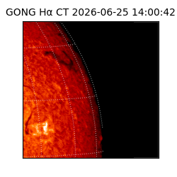 gong - 2026-06-25T14:00:42