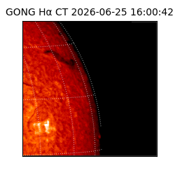 gong - 2026-06-25T16:00:42