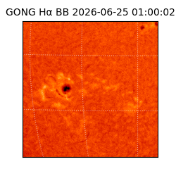 gong - 2026-06-25T01:00:02