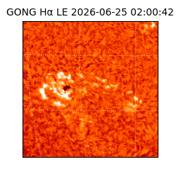 gong - 2026-06-25T02:00:42