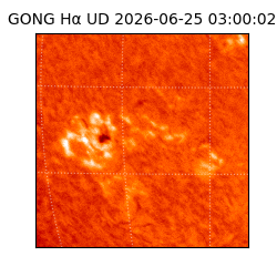 gong - 2026-06-25T03:00:02