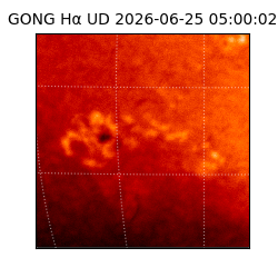 gong - 2026-06-25T05:00:02