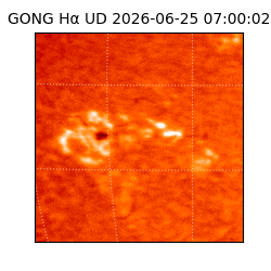 gong - 2026-06-25T07:00:02