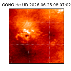 gong - 2026-06-25T08:07:02
