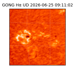 gong - 2026-06-25T09:11:02
