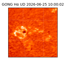 gong - 2026-06-25T10:00:02