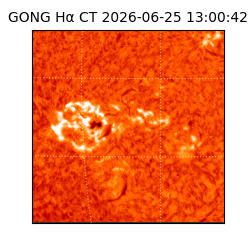 gong - 2026-06-25T13:00:42