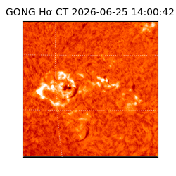 gong - 2026-06-25T14:00:42